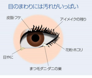 アイシャンプーとは 堺市三国ヶ丘 まつ毛エクステ ドライヘッドスパ Ele Eyelash Headspa